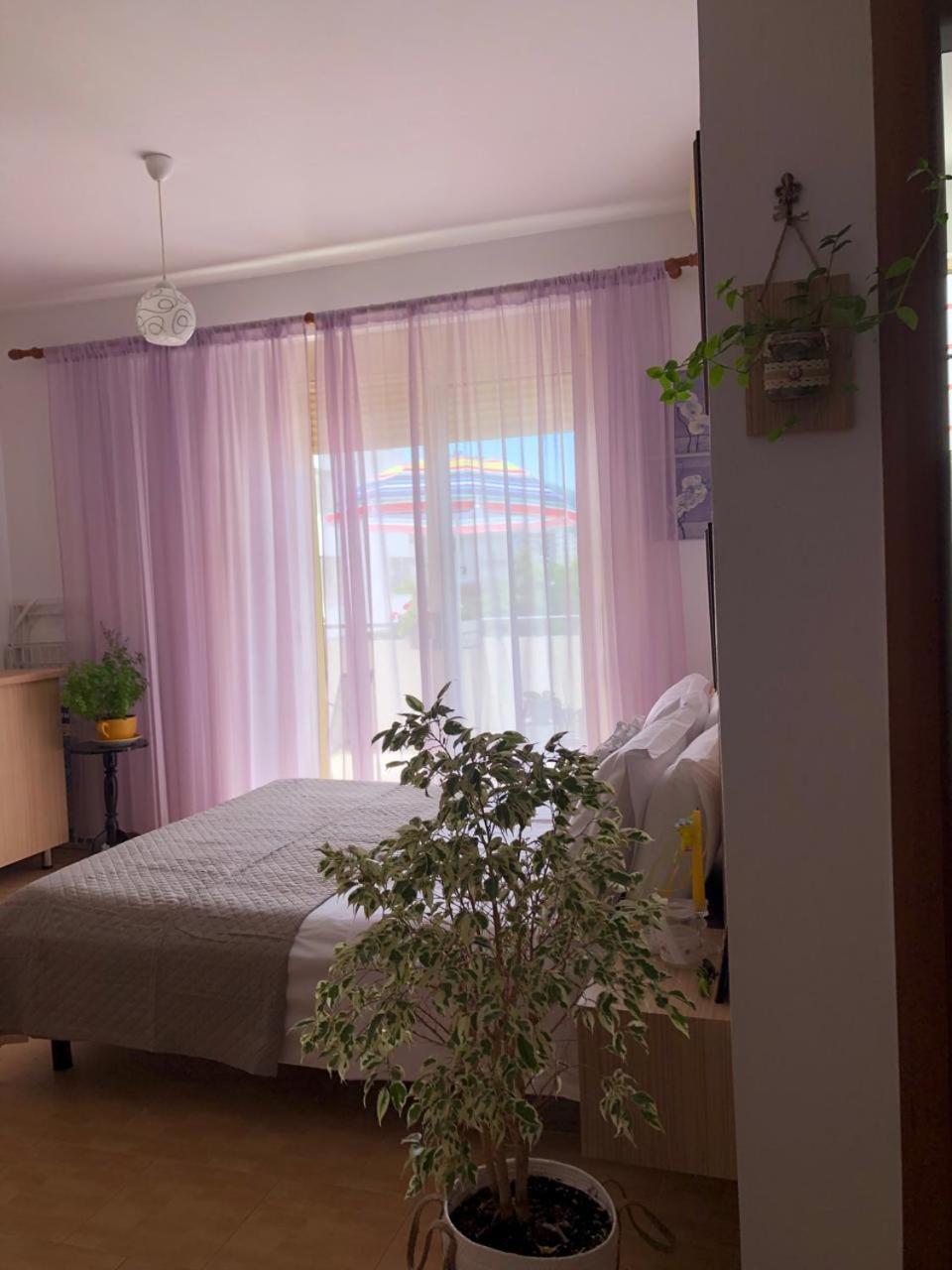 Apartment Of Shpresa